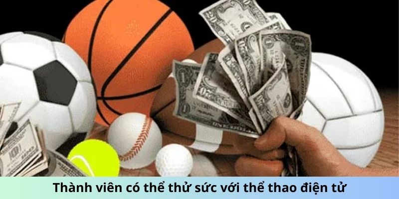 thanh-vien-co-the-thu-suc-voi-the-thao-dien-tu