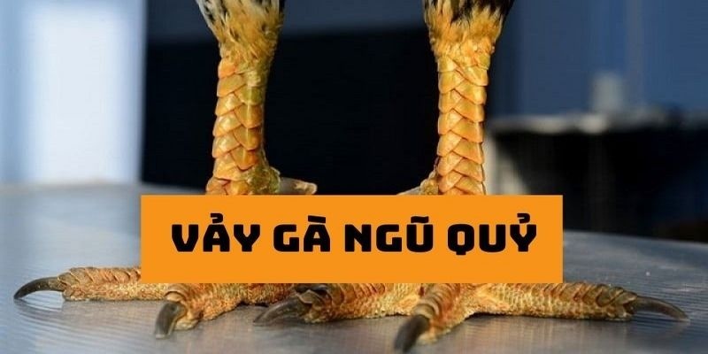 vay-ngu-quy-ngu-quy